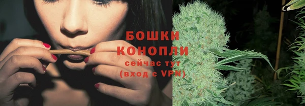 spice Белокуриха