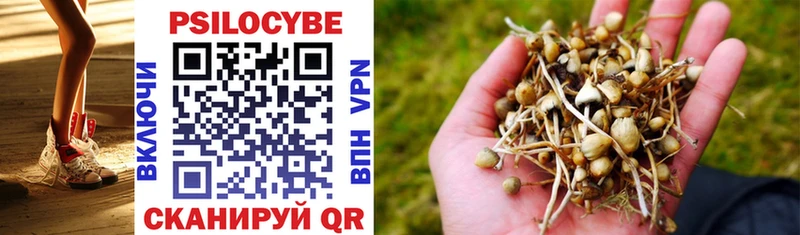 Псилоцибиновые грибы Magic Shrooms  Бокситогорск 